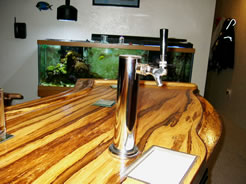 Bartender's view of aquarium